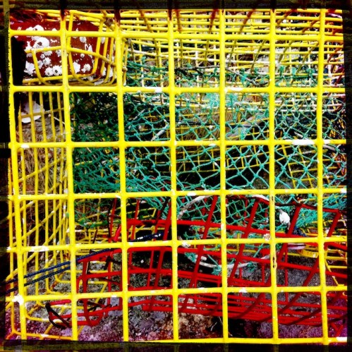 Polychromelobsterpotwreckage17