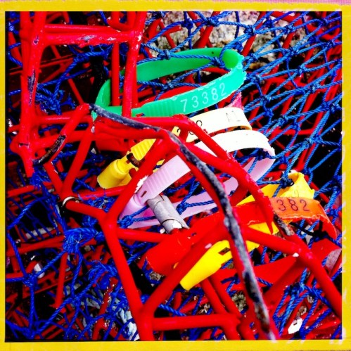 Polychromelobsterpotwreckage19