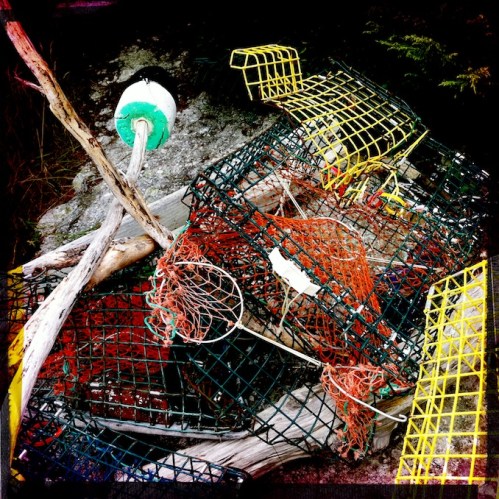 Polychromelobsterpotwreckage2