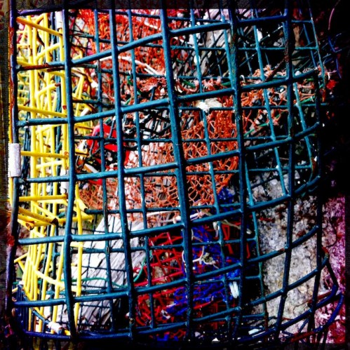 Polychromelobsterpotwreckage20