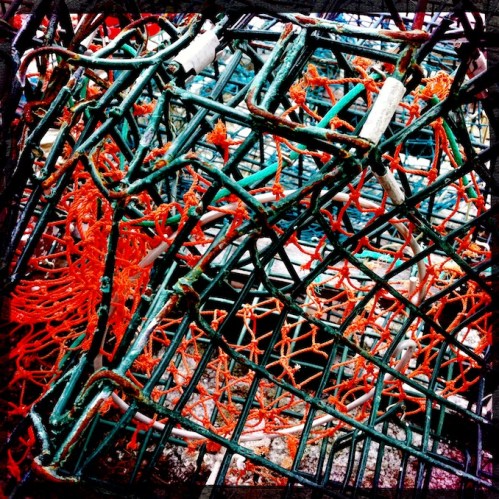 Polychromelobsterpotwreckage22