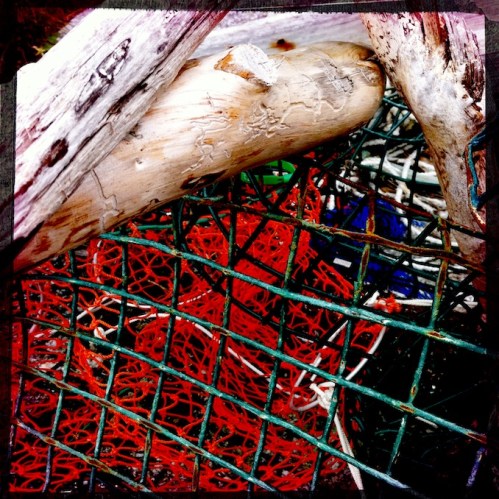 Polychromelobsterpotwreckage3