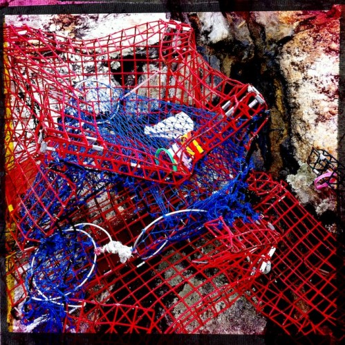 Polychromelobsterpotwreckage4