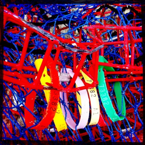 Polychromelobsterpotwreckage5