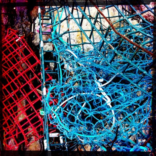 Polychromelobsterpotwreckage7