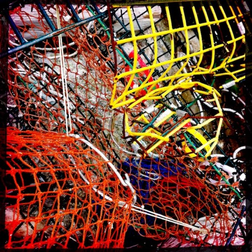 Polychromelobsterpotwreckage8