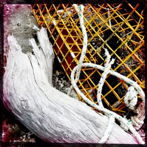 Polychromelobsterpotwreckage9