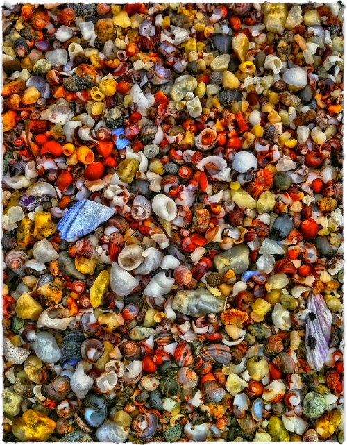 Shellbedmasterenfusion_dl23me2