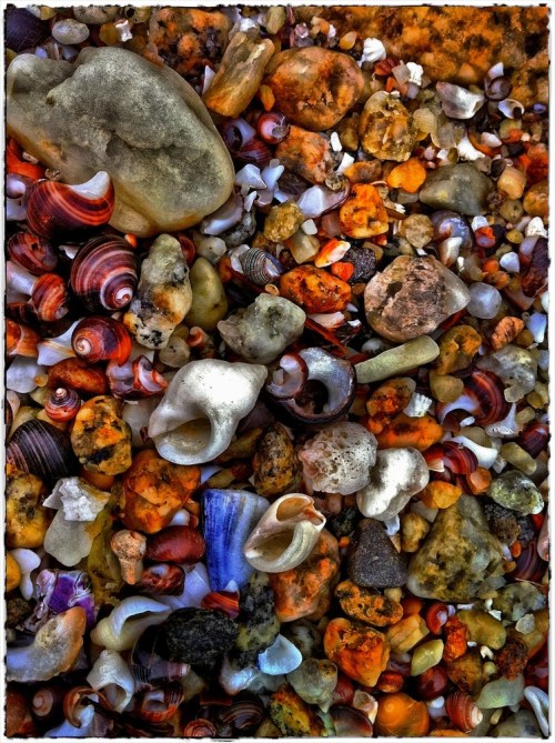 Shellsandrockenfusion1bokeh1bo