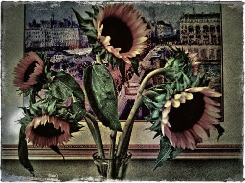 Sunflowersandpaintingenfusion1