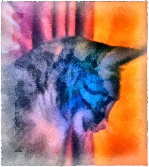 Paintedjackenfusion11finalfinal