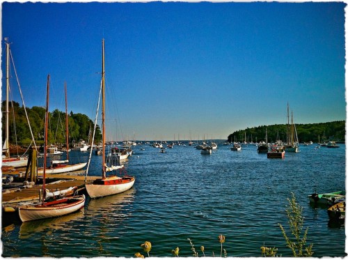 Rockportcove2enfusion2lomobrus