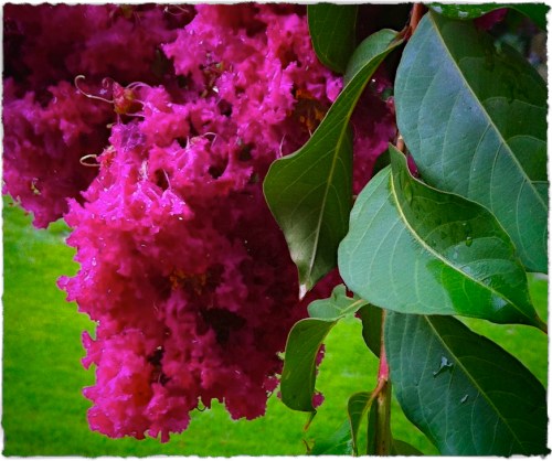 Wetbeauty_5lomobrushup