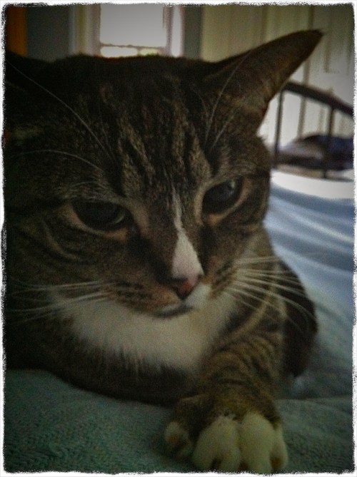 Alarmclocklomovignettegrit_2