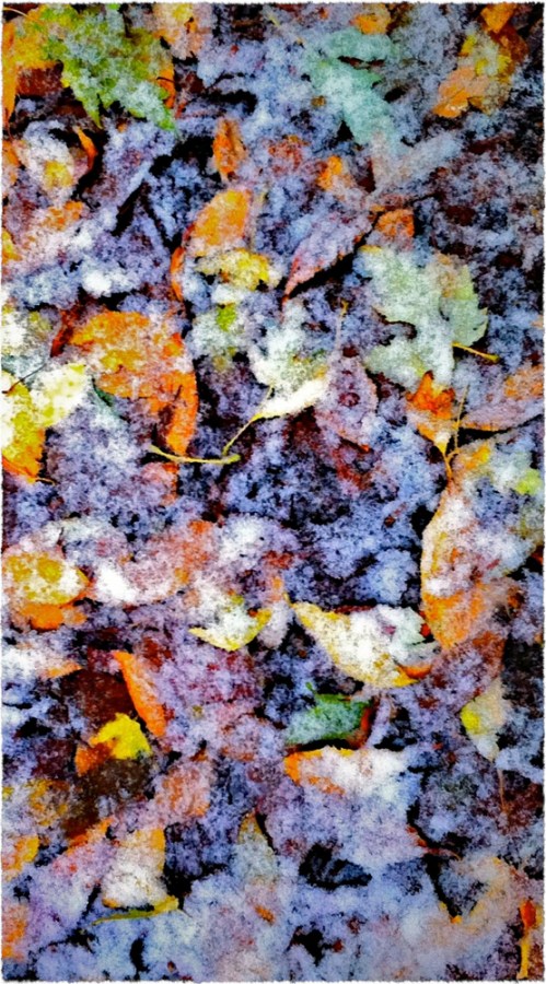 Earlywintercrop2frayed