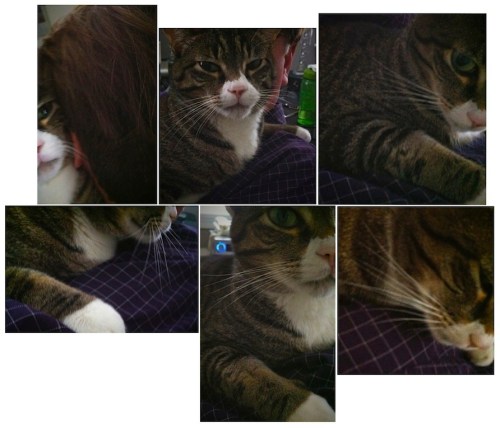 Glimpsesofjackmontage6_2