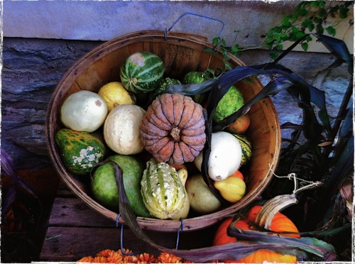 Middleburghalloween2blueskycus