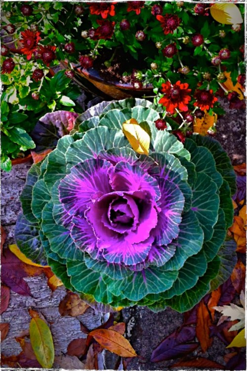 Autumnporchenfusion2lomocustom