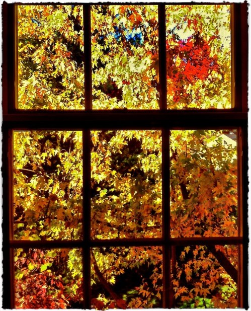 Autumnwindowenfusion1brushup_2