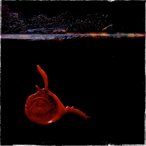 Img_1339bscripturegrundgy_2