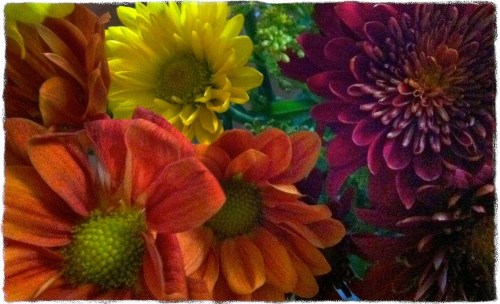 Img_1694b_dl2bokeh1grit_2