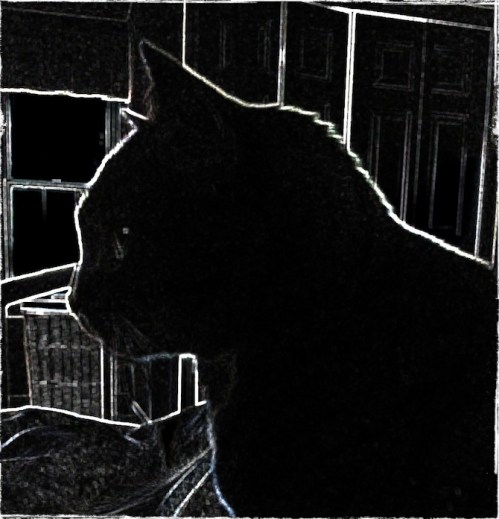 Img_9482boldpapergrundgy2cropg