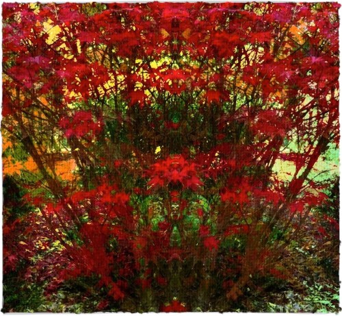 Preraphaeliteautumnbrushup2