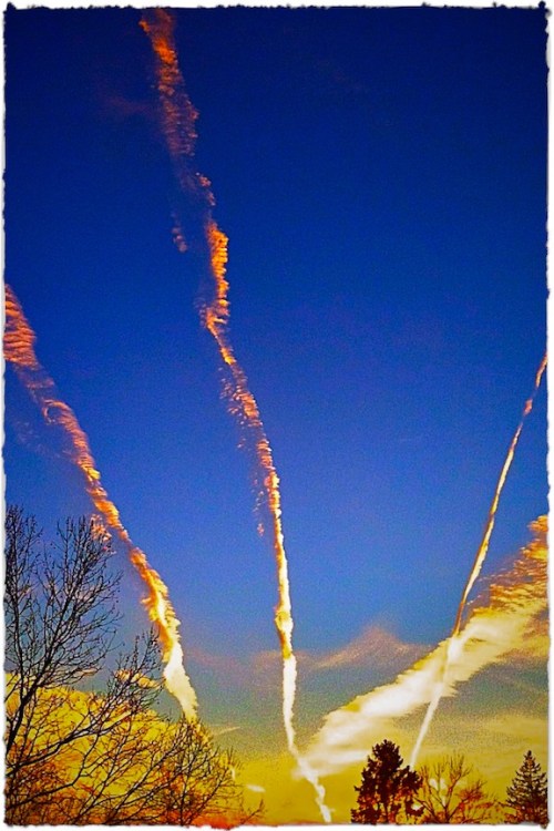 Contrailslomomodbrushup_2