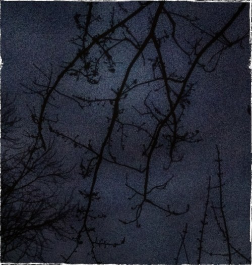 Dusk3enfusion1softstipplemodbo