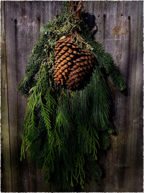 Gateandboughsscripturemodbokeh