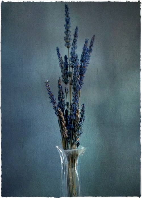 Lavenderoldviewnoborderbokeh1f