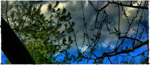 Hdrexperimentbokeh3horzflipmid