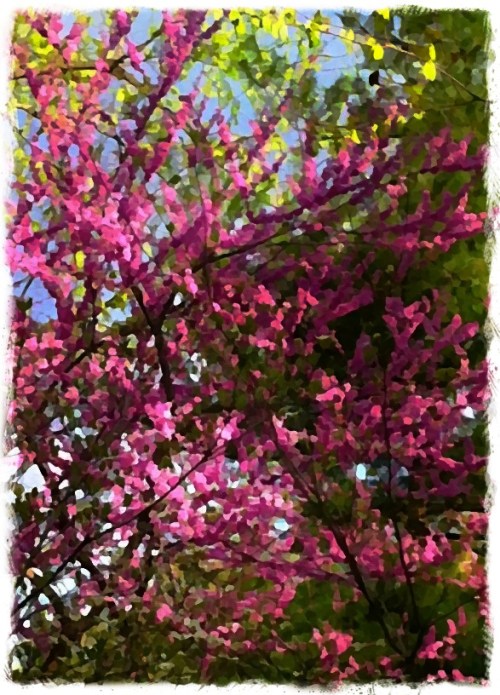 Painterlypurple1bokeh1fullflip