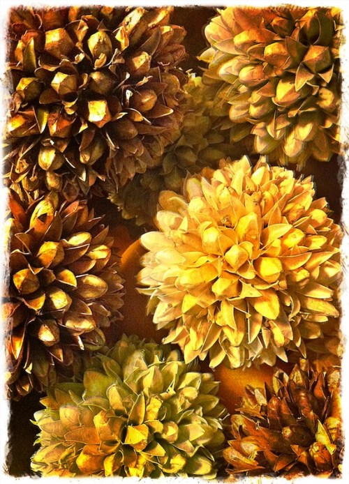 Podthingsbokeh3vertflipoldpape