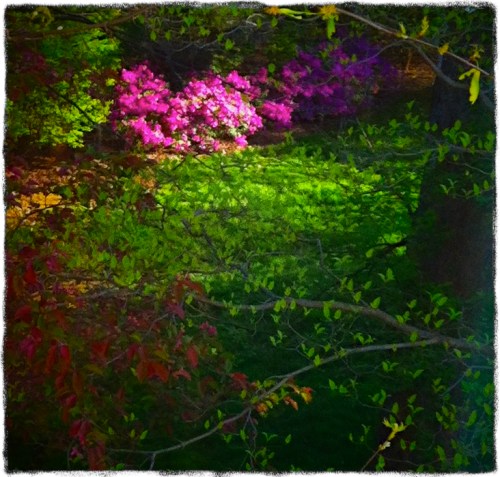 Secretgarden2lomogrit