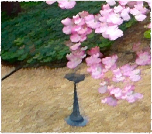 Windphoto3fixedbrushup_2