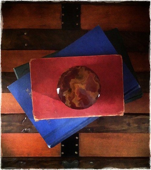 Booksontrunkenfusion1_2bokeh1o