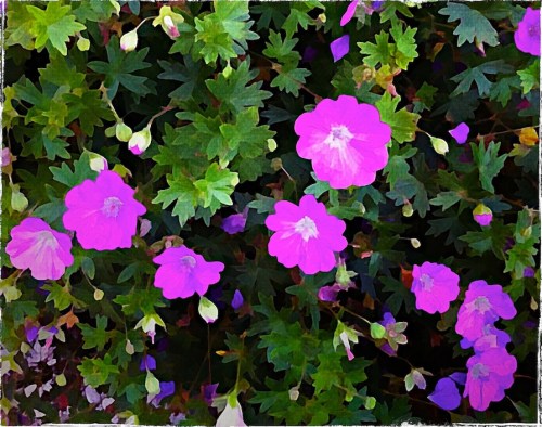 Purpleandgreenlomomobokeh1mod_