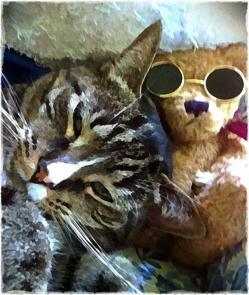 Assistantandfriendbokeh1vertfl