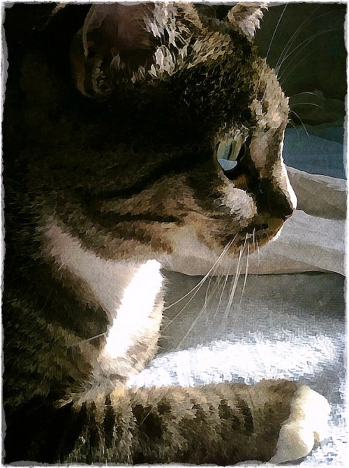 Assistantinprofileoldpaper2