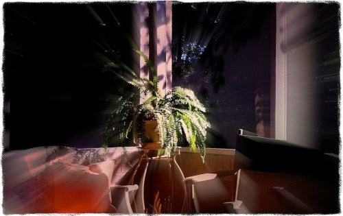 Morningporchprotonmodbokeh1ver