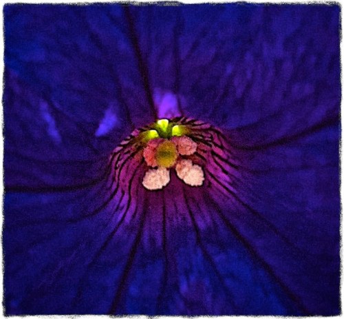 Rawpistil2_dl4lomooldpaper_2