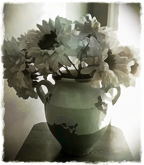 Huelesssunflowersbokeh1fullfli