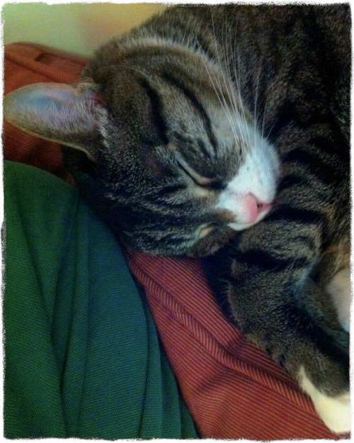 Jack1_2bokeh1gritrecrop_2