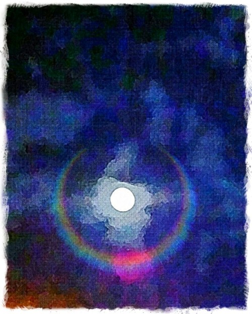 Moonthroughpinesbokeh1vertflip