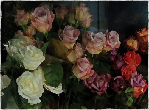 Mutedrosesbokeh1vertflipmidton