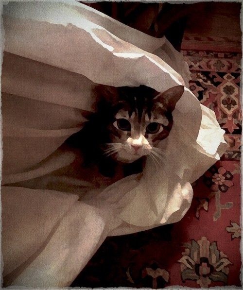 Warmsheetsoldviewmidtonebokeh1