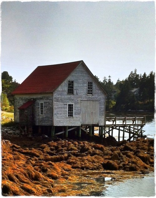 Boathouse2bokeh1midtonegrit_2