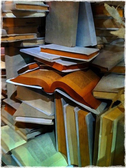 Books1bokeh1horzflip_3