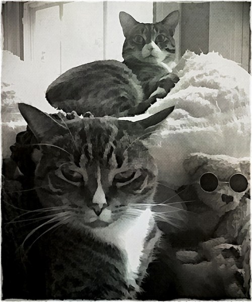 Bwassistantsbokeh1horzflipmidt